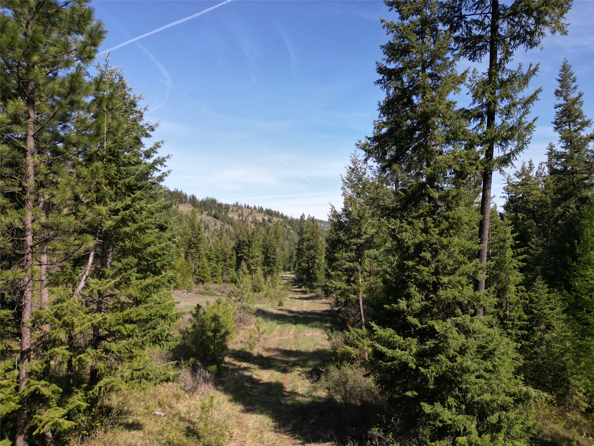 Nhn Tract 1c E Fork Combest Creek Road Property Photo 17