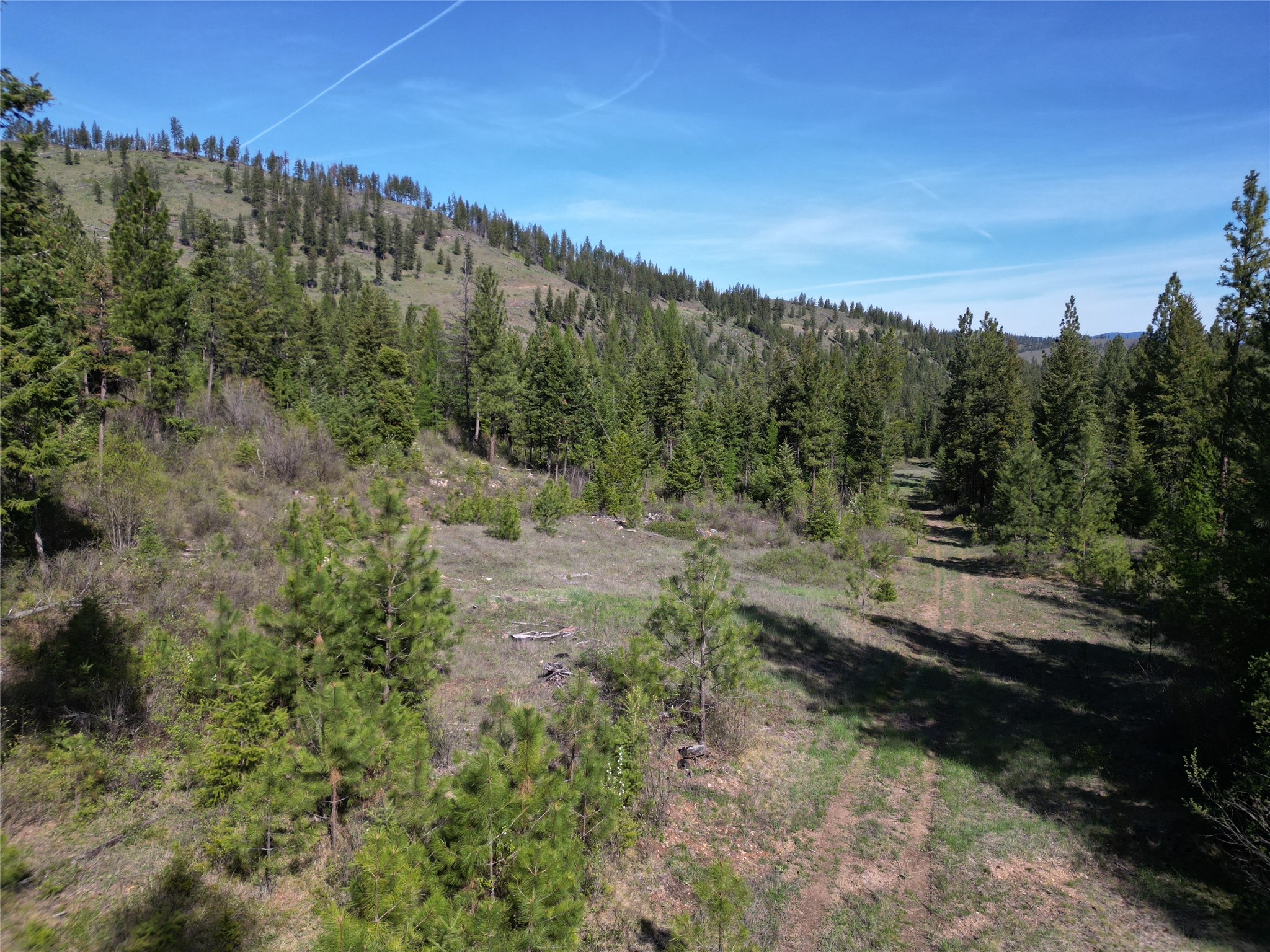 Nhn Tract 1c E Fork Combest Creek Road Property Photo 18