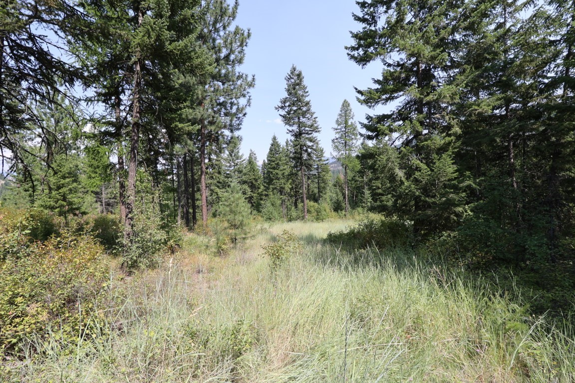 Nhn Tract 1c E Fork Combest Creek Road Property Photo 21