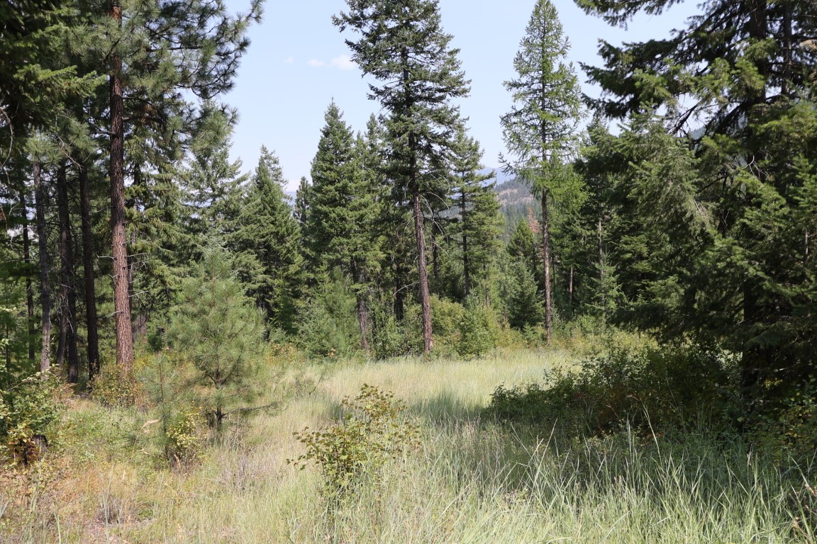 Nhn Tract 1c E Fork Combest Creek Road Property Photo 22