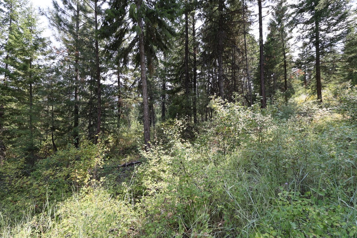 Nhn Tract 1c E Fork Combest Creek Road Property Photo 24