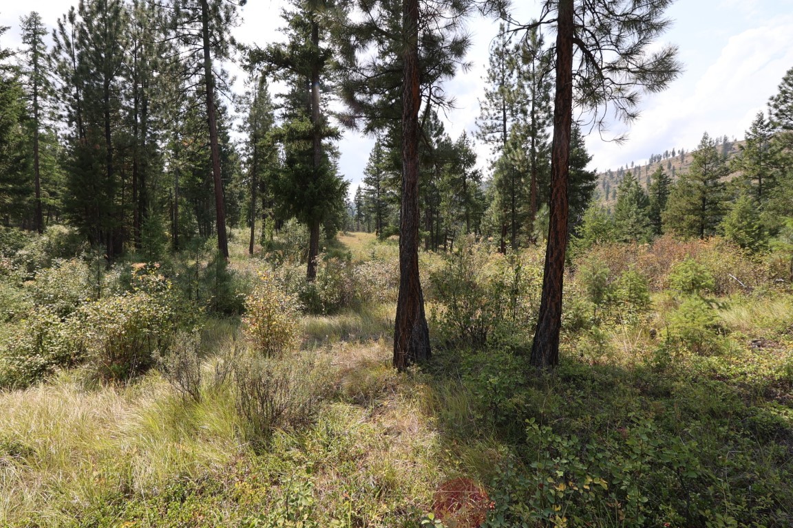 Nhn Tract 1c E Fork Combest Creek Road Property Photo 25