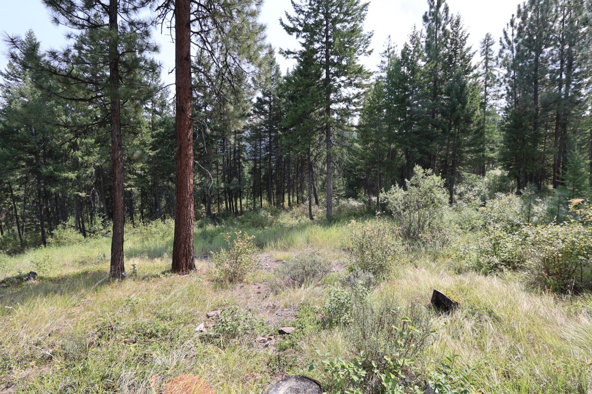 Nhn Tract 1c E Fork Combest Creek Road Property Photo 26