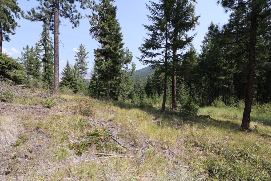 Nhn Tract 1c E Fork Combest Creek Road Property Photo 27
