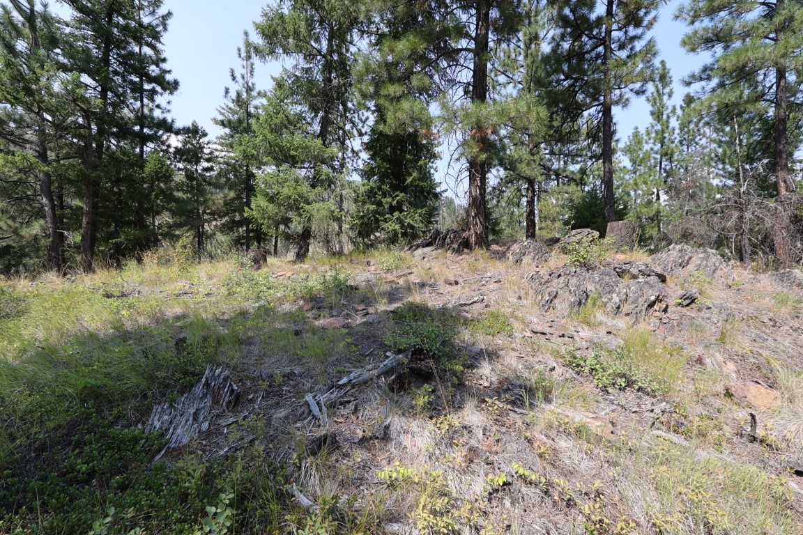 Nhn Tract 1c E Fork Combest Creek Road Property Photo 28