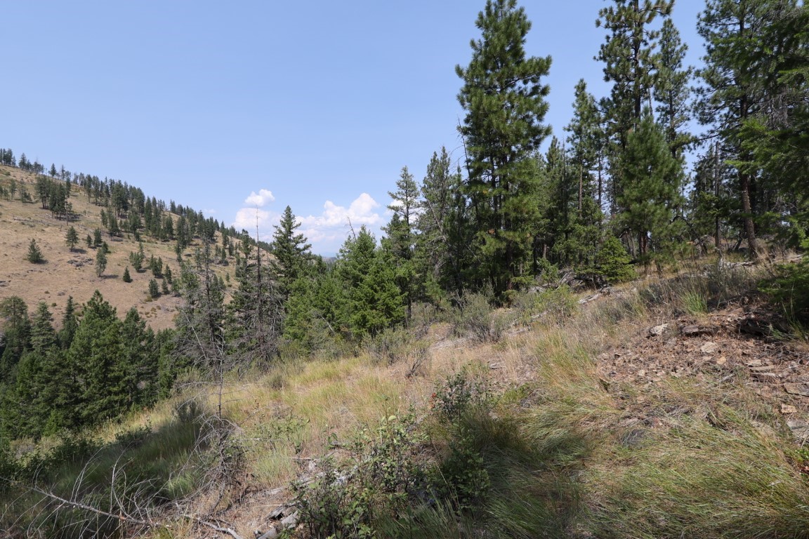 Nhn Tract 1c E Fork Combest Creek Road Property Photo 29