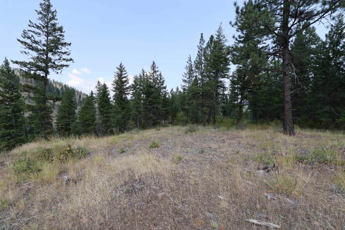 Nhn Tract 1c E Fork Combest Creek Road Property Photo 32