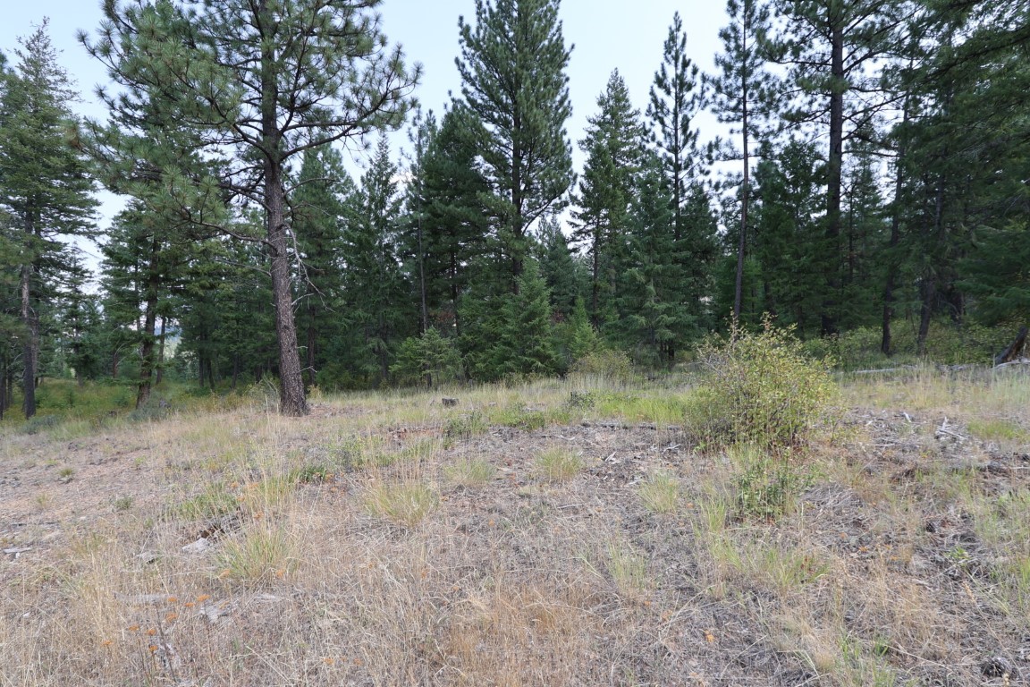 Nhn Tract 1c E Fork Combest Creek Road Property Photo 33