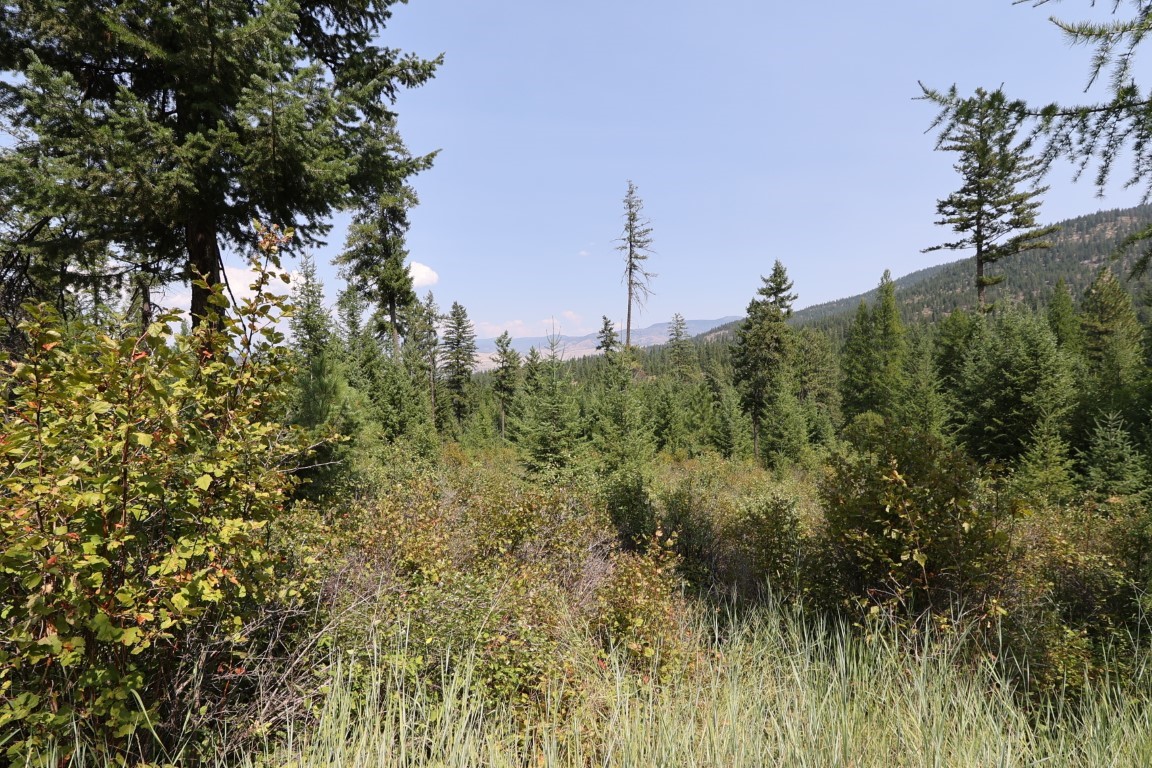 Nhn Tract 1c E Fork Combest Creek Road Property Photo 33