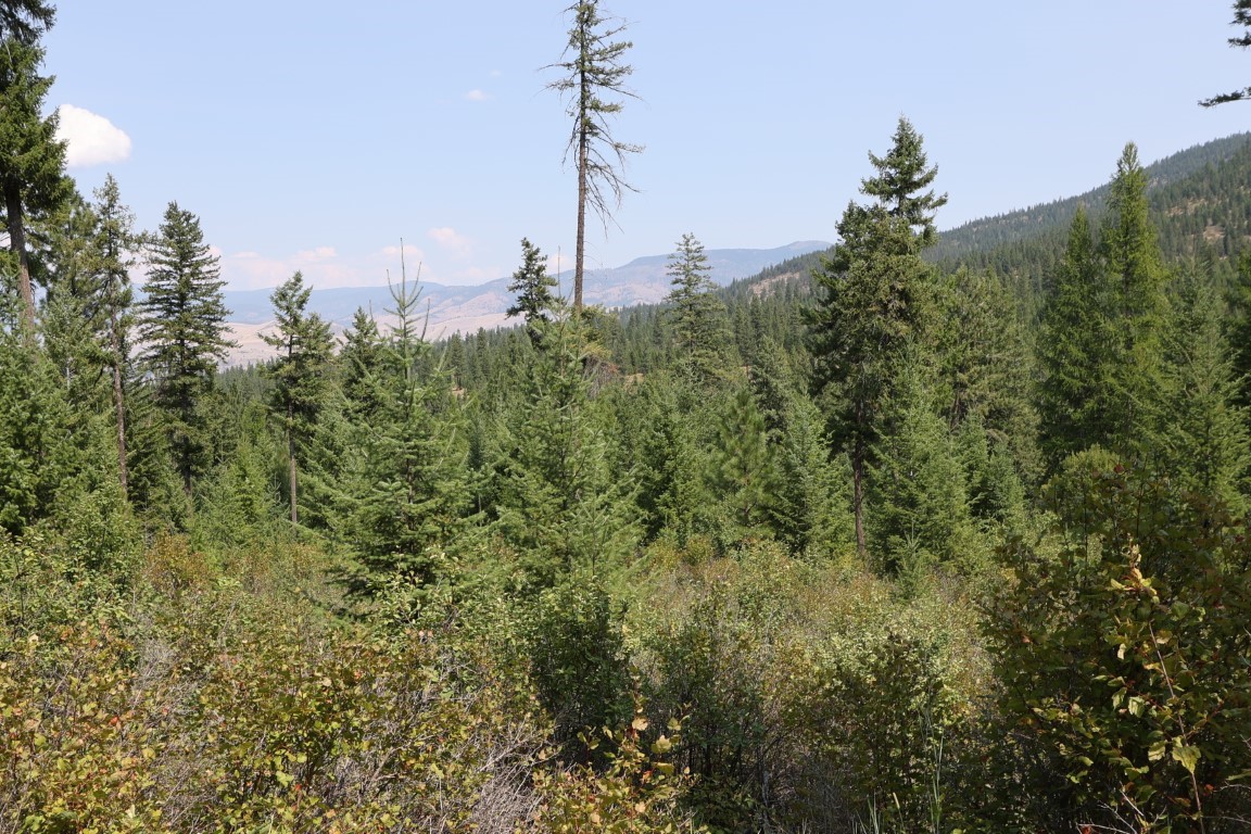 Nhn Tract 1c E Fork Combest Creek Road Property Photo 34