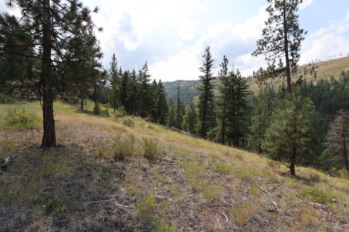 Nhn Tract 1c E Fork Combest Creek Road Property Photo 35