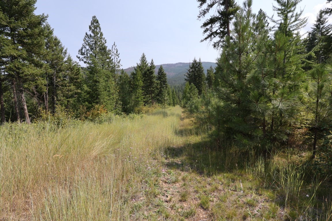 Nhn Tract 1c E Fork Combest Creek Road Property Photo 35