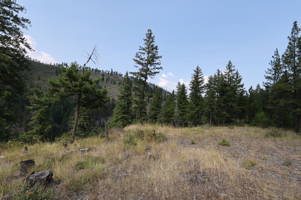 Nhn Tract 1c E Fork Combest Creek Road Property Photo 37