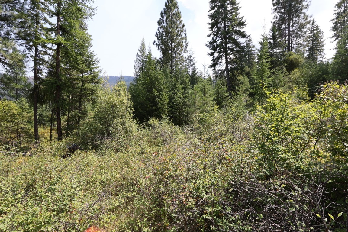 Nhn Tract 1c E Fork Combest Creek Road Property Photo 38