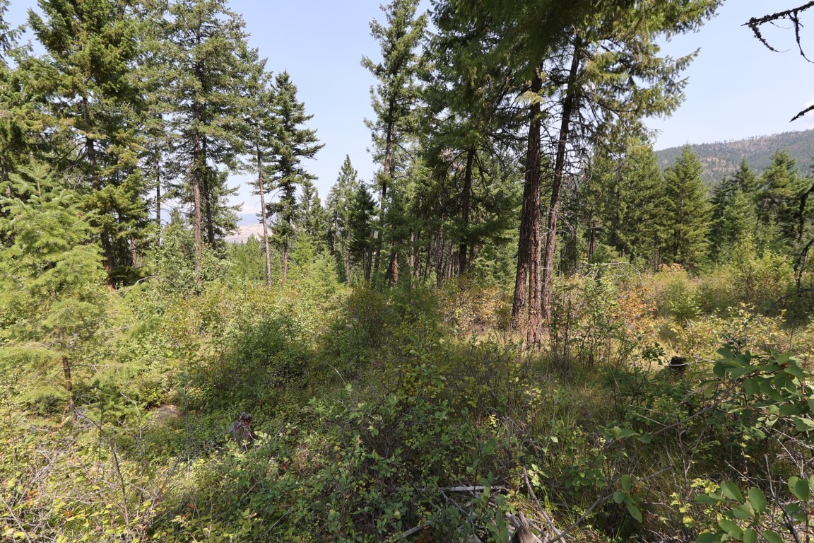 Nhn Tract 1c E Fork Combest Creek Road Property Photo 44