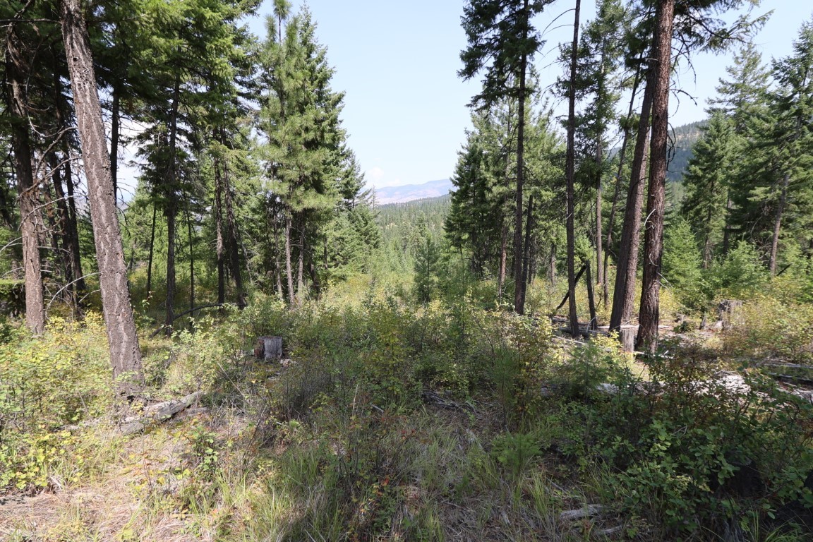 Nhn Tract 1c E Fork Combest Creek Road Property Photo 47