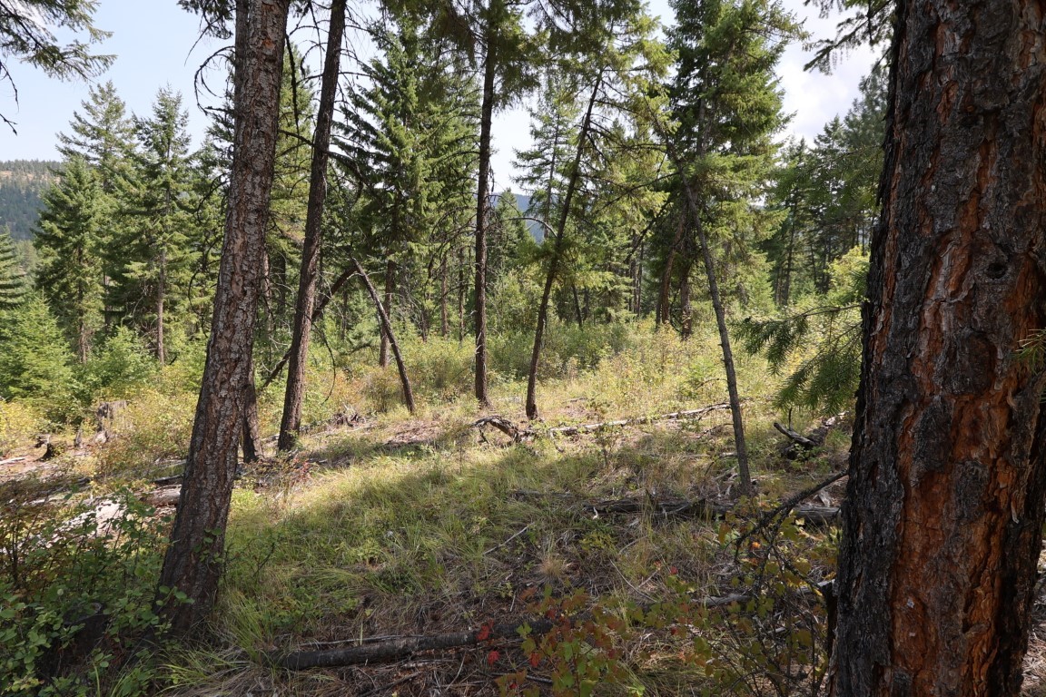 Nhn Tract 1c E Fork Combest Creek Road Property Photo 48