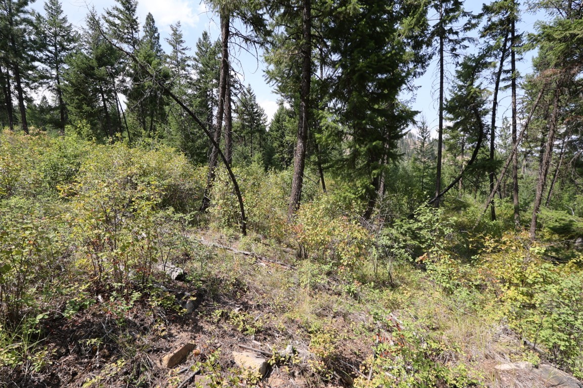 Nhn Tract 1c E Fork Combest Creek Road Property Photo 49