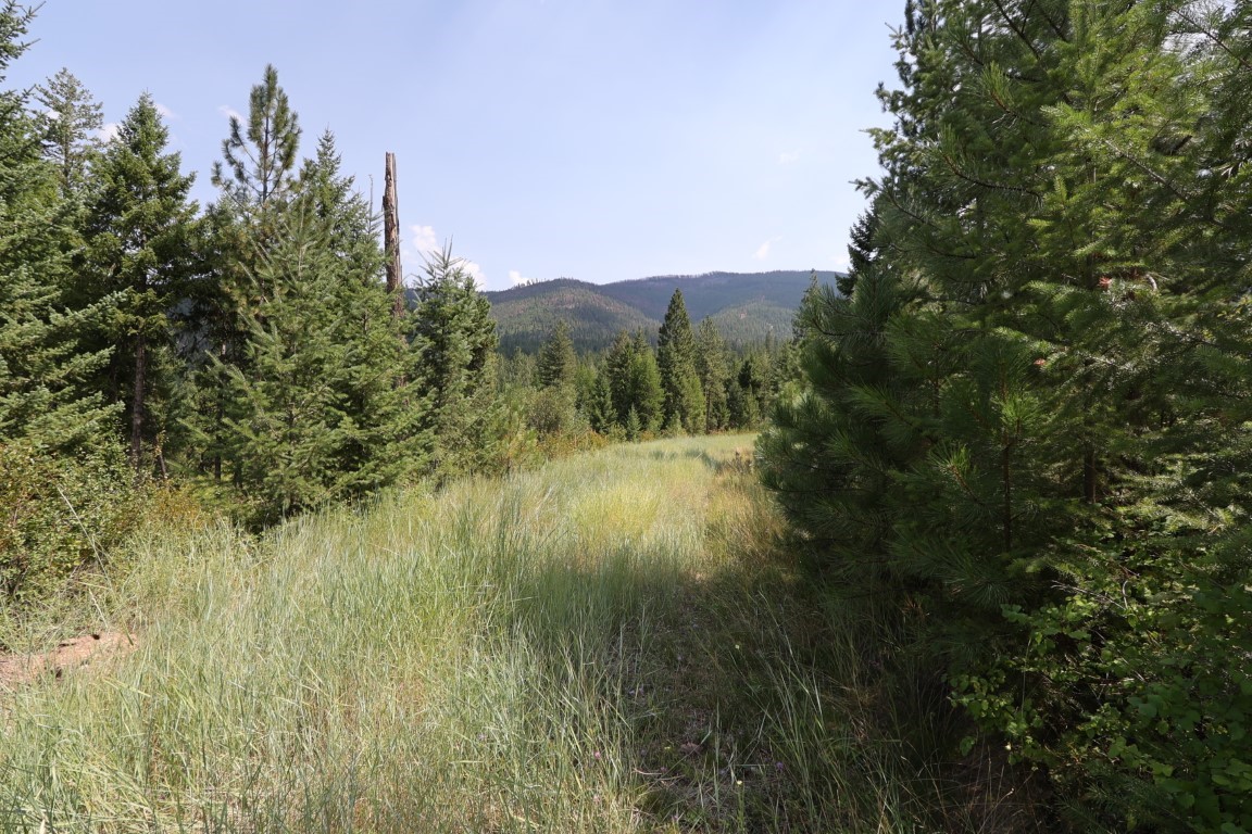 Nhn Tract 1c E Fork Combest Creek Road Property Photo 50