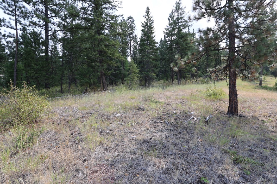 Nhn Tract 1c E Fork Combest Creek Road Property Photo 51