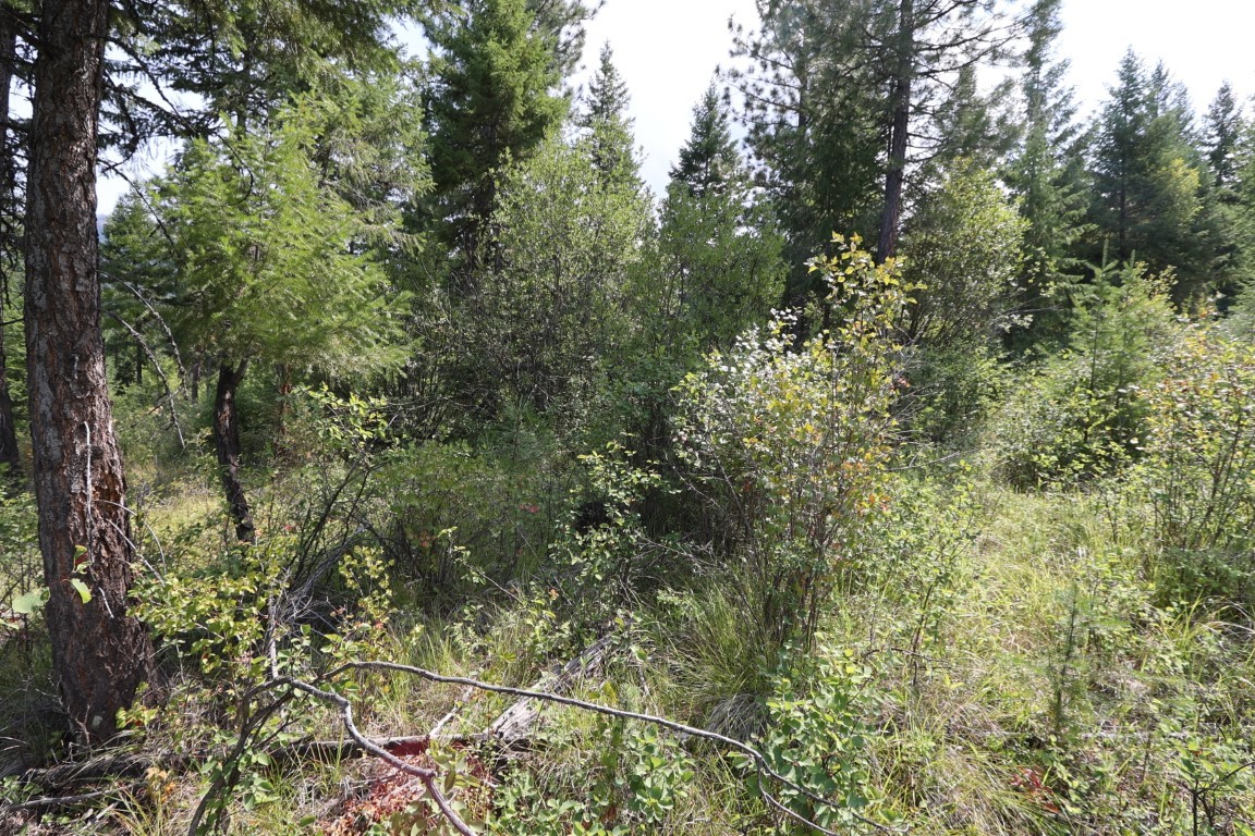 Nhn Tract 1c E Fork Combest Creek Road Property Photo 59