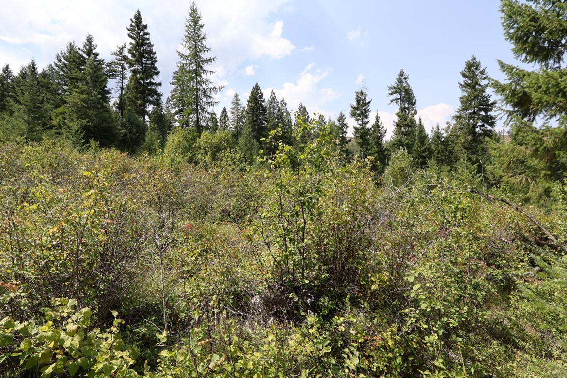 Nhn Tract 1c E Fork Combest Creek Road Property Photo 63
