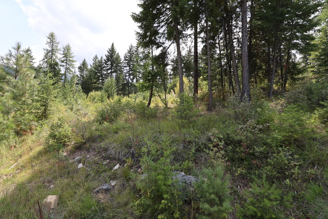 Nhn Tract 1c E Fork Combest Creek Road Property Photo 68