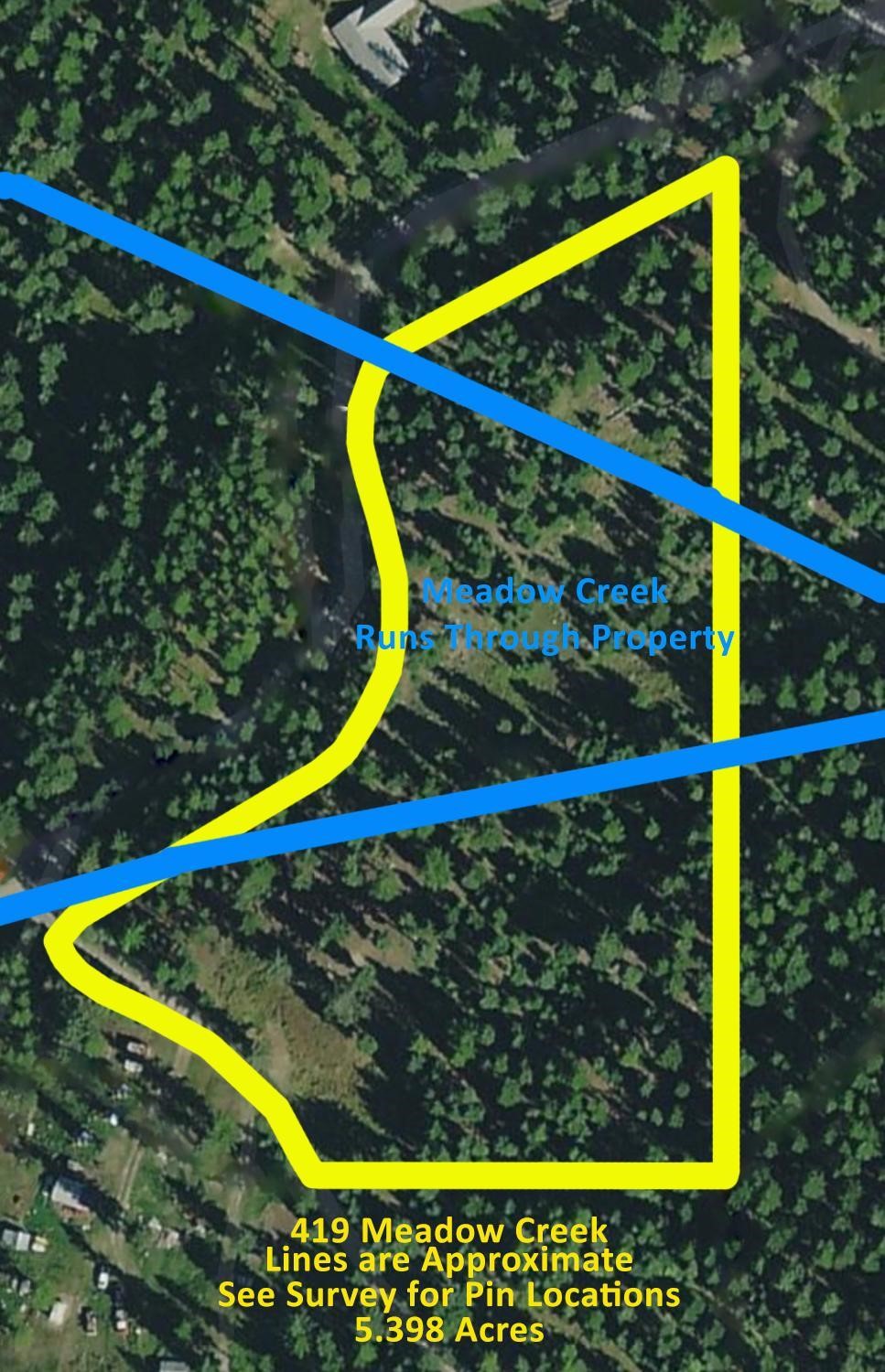 419 Meadow Creek Trail Property Photo 2
