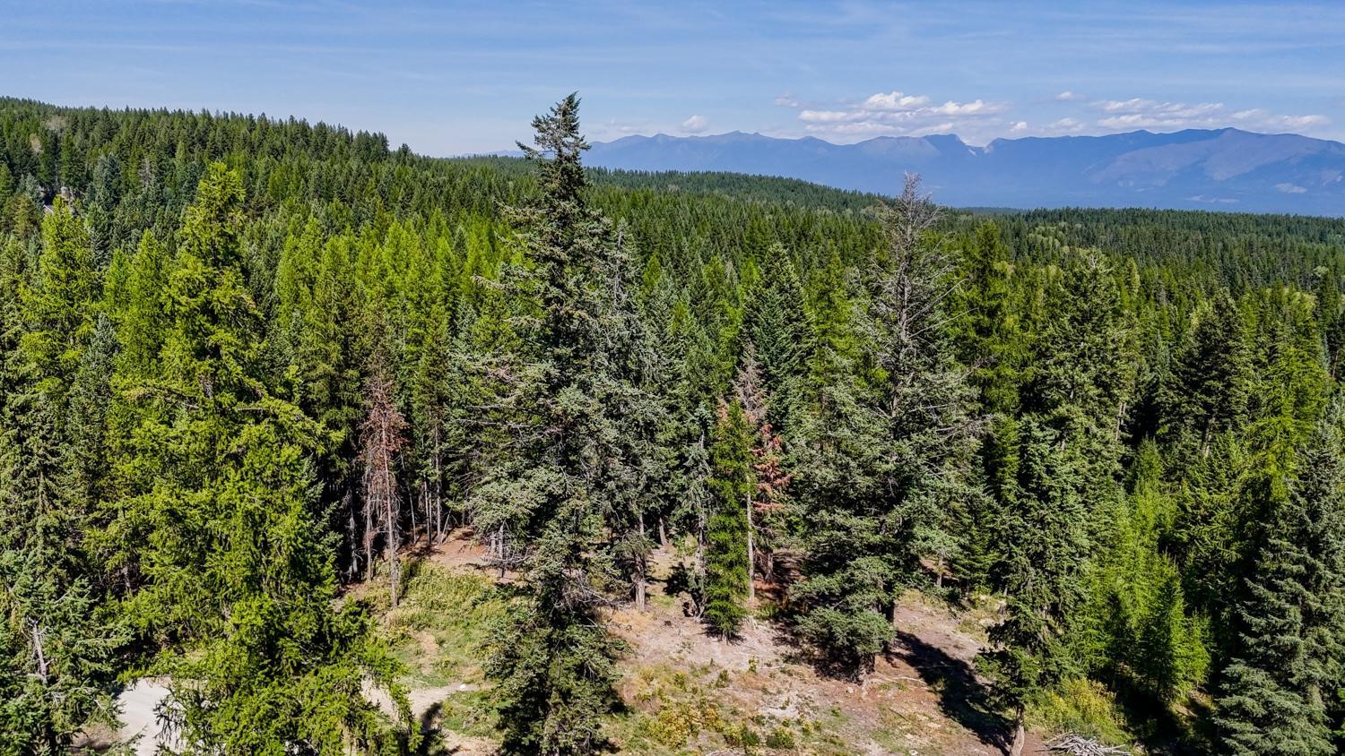 419 Meadow Creek Trail Property Photo 3