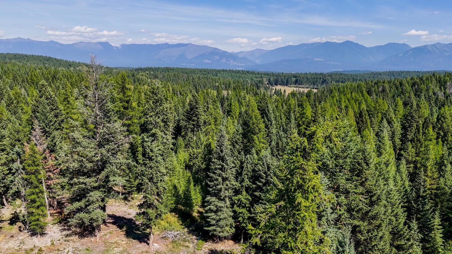 419 Meadow Creek Trail Property Photo 4