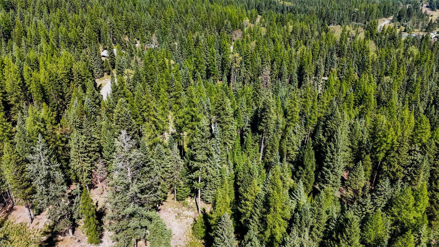 419 Meadow Creek Trail Property Photo 5
