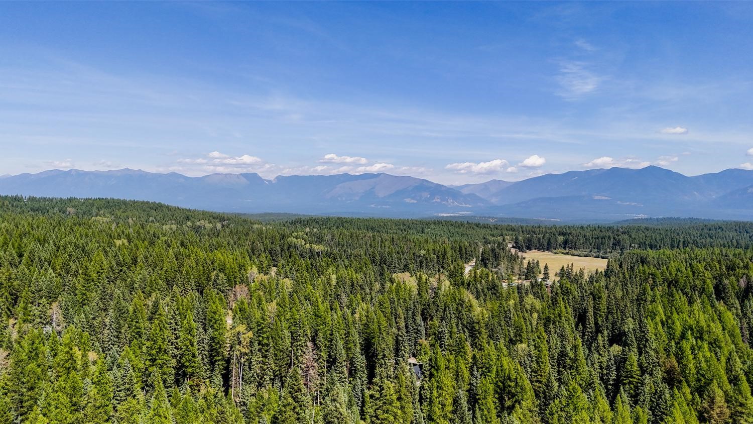 419 Meadow Creek Trail Property Photo 8