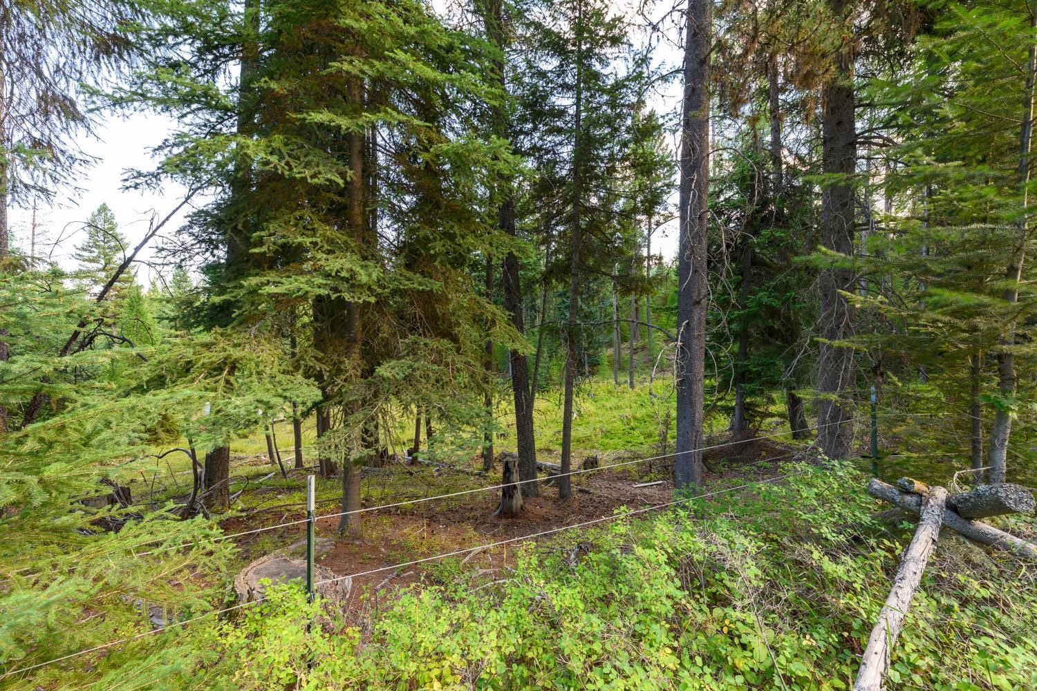 419 Meadow Creek Trail Property Photo 13