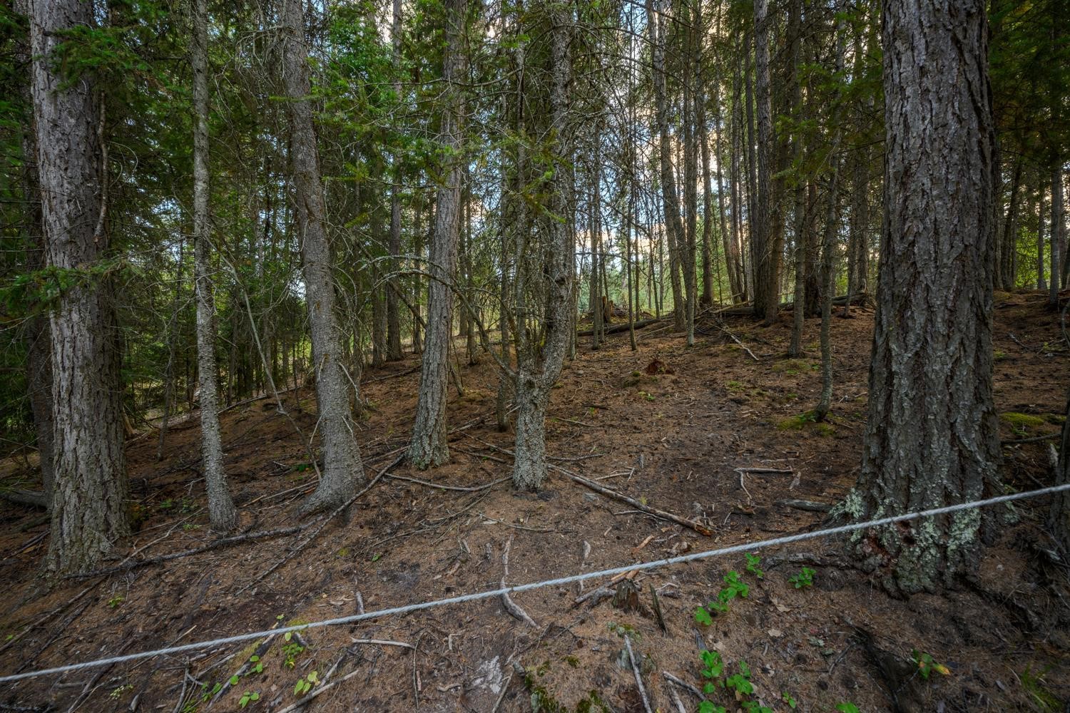 419 Meadow Creek Trail Property Photo 14