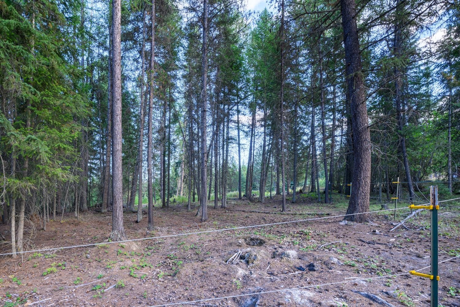 419 Meadow Creek Trail Property Photo 15