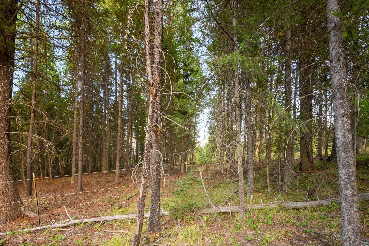 419 Meadow Creek Trail Property Photo 16