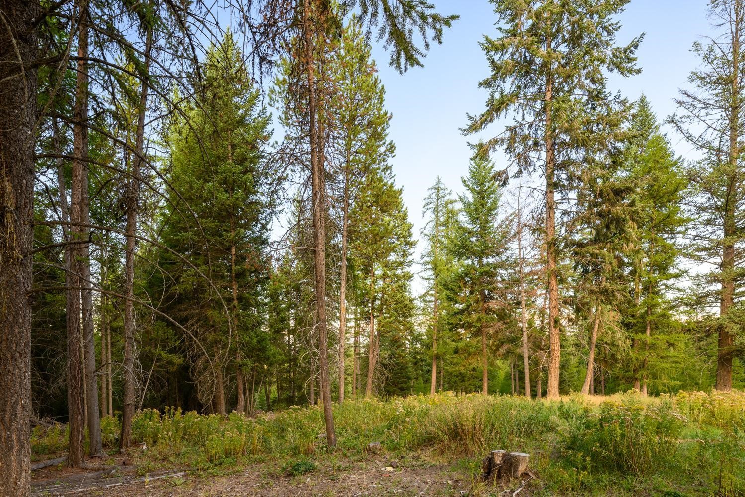 419 Meadow Creek Trail Property Photo 17