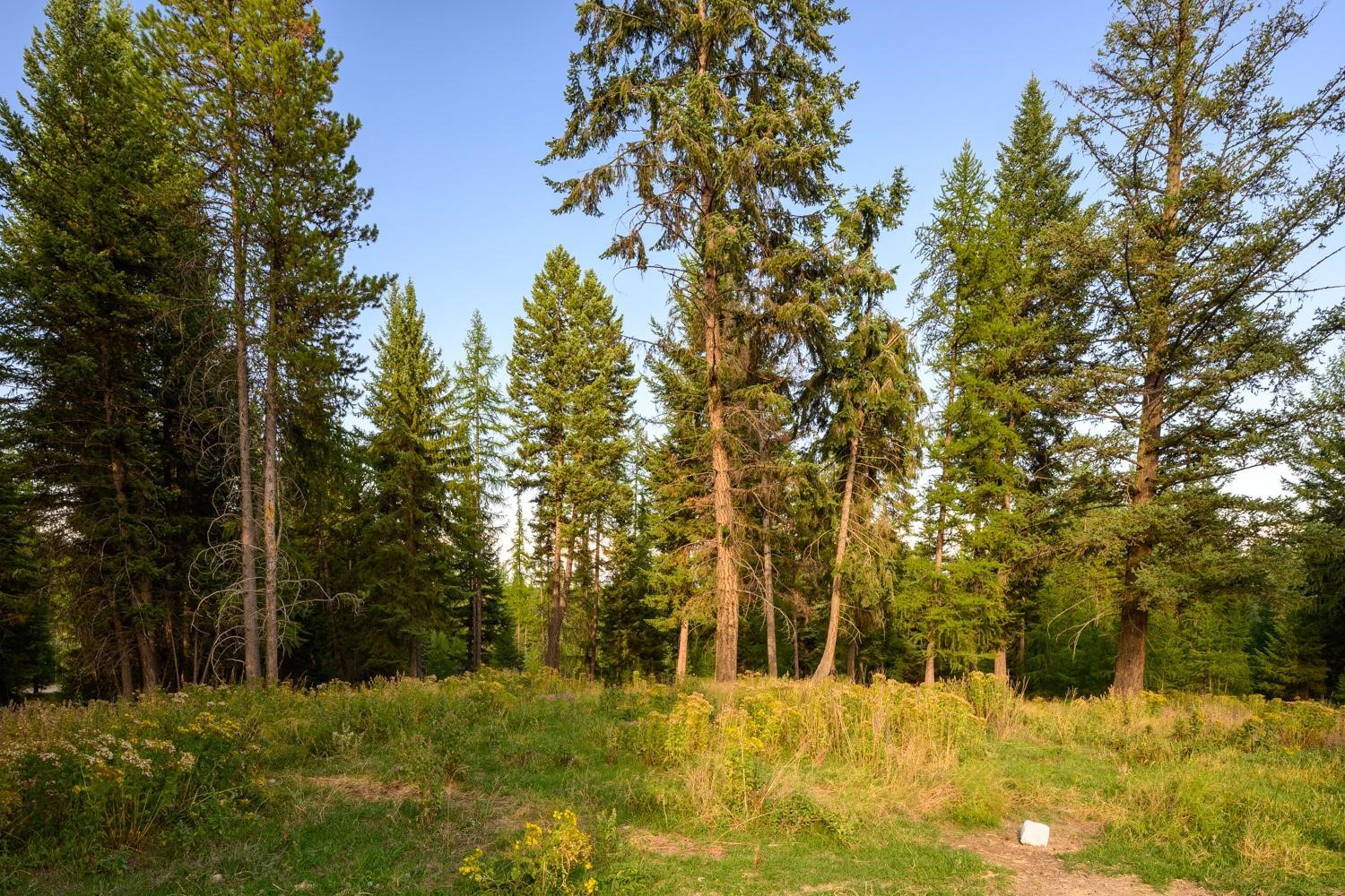 419 Meadow Creek Trail Property Photo 18