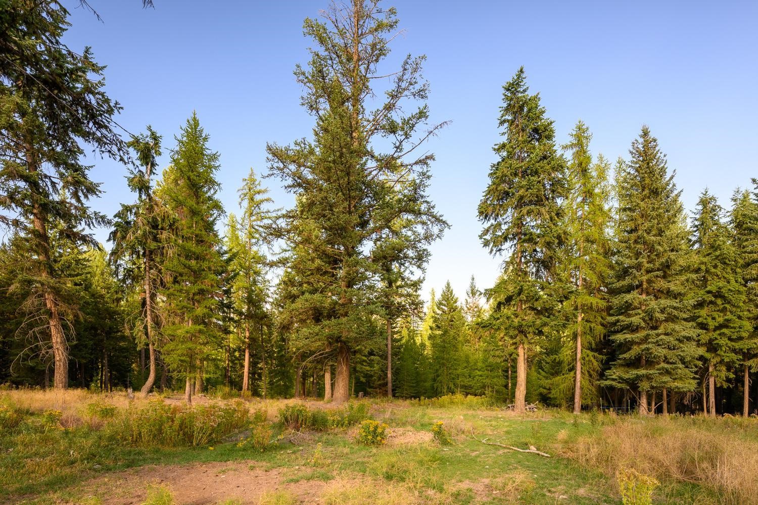 419 Meadow Creek Trail Property Photo 19