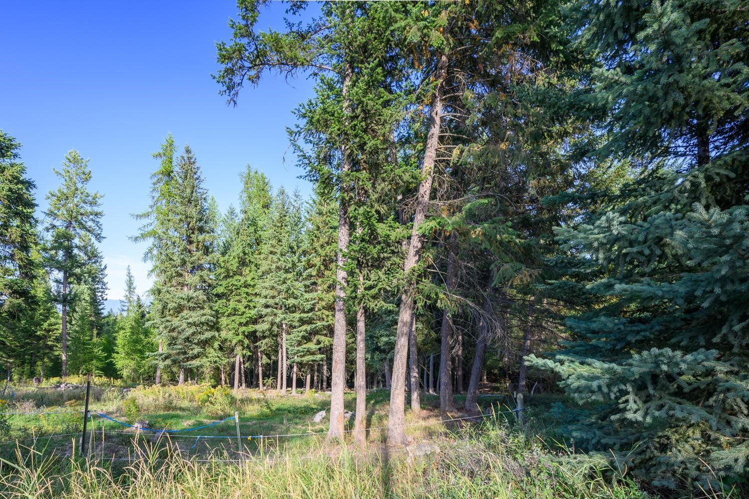 419 Meadow Creek Trail Property Photo 21
