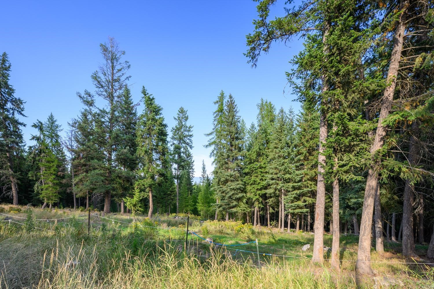 419 Meadow Creek Trail Property Photo 22