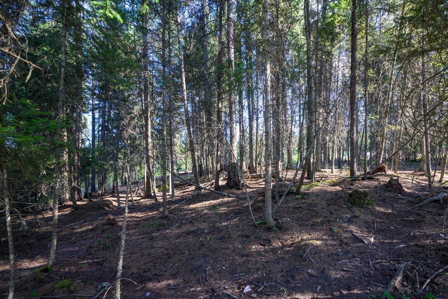 419 Meadow Creek Trail Property Photo 24