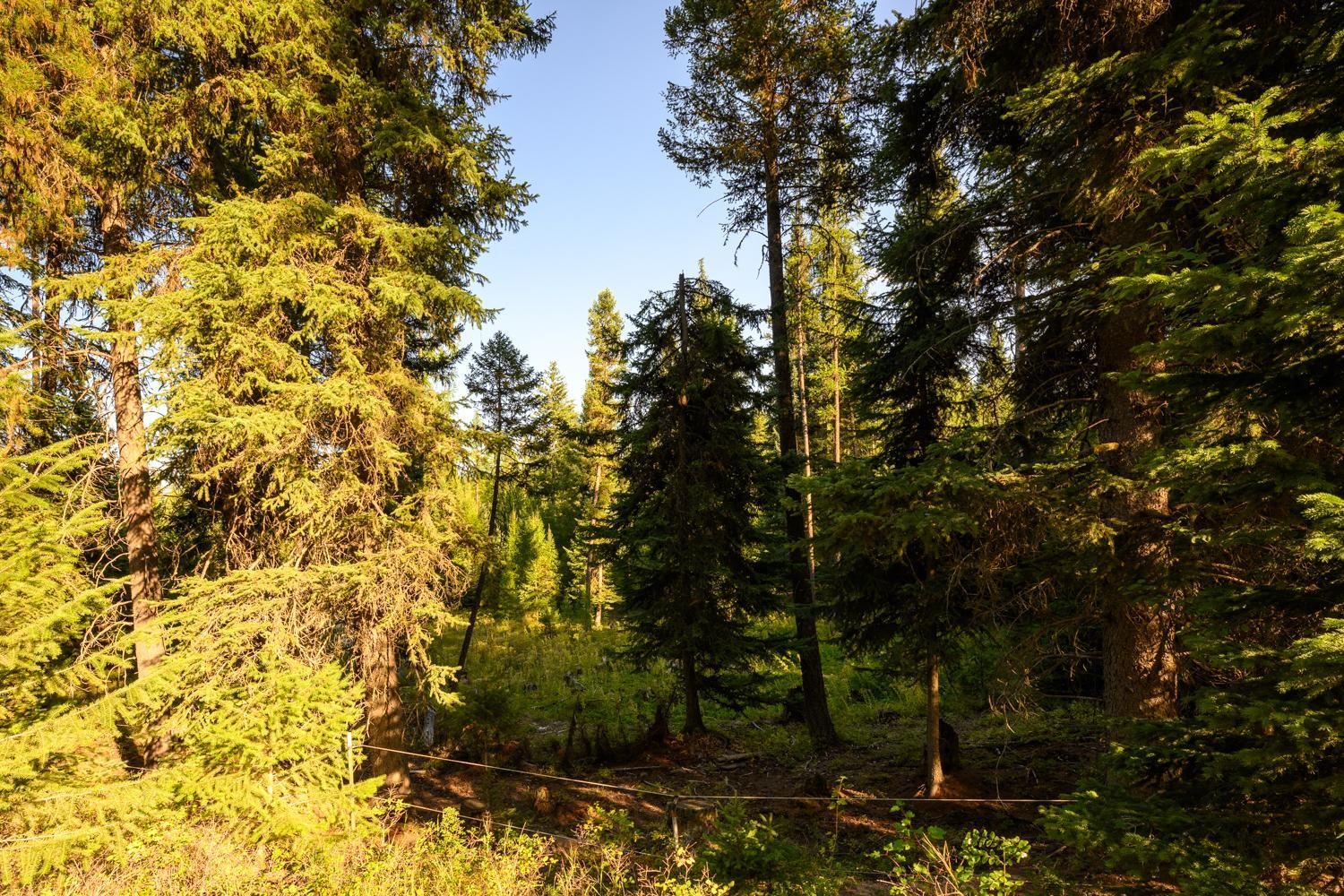 419 Meadow Creek Trail Property Photo 25