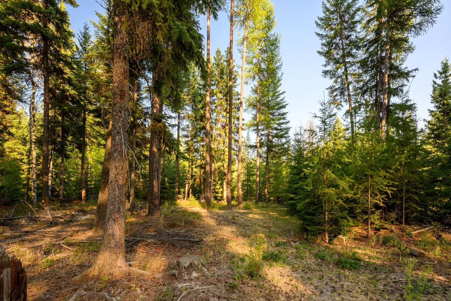 419 Meadow Creek Trail Property Photo 26
