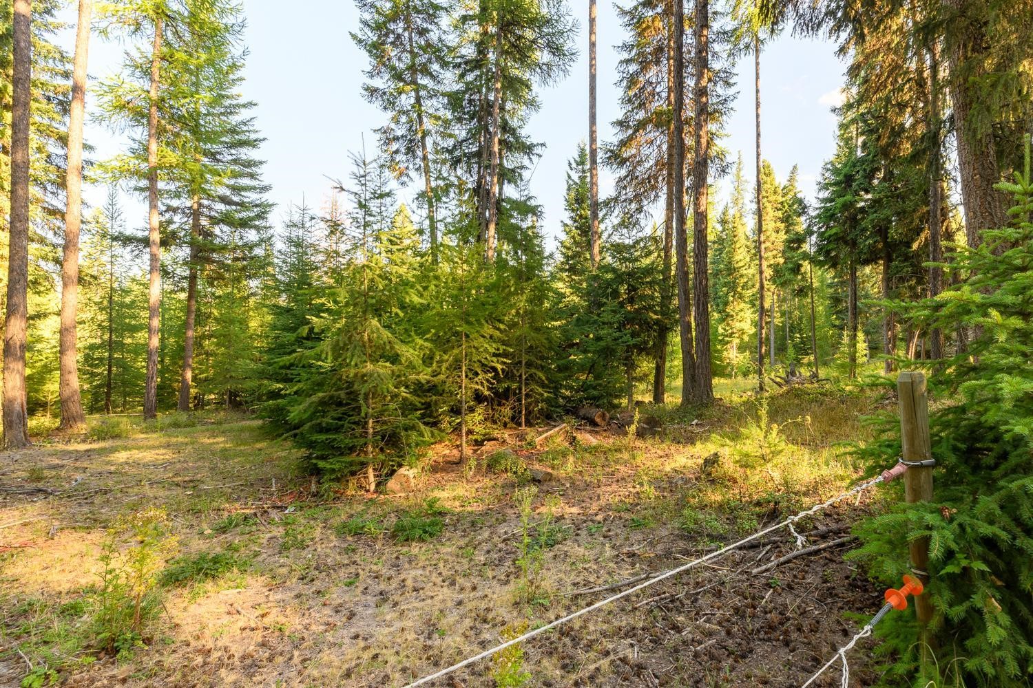 419 Meadow Creek Trail Property Photo 27