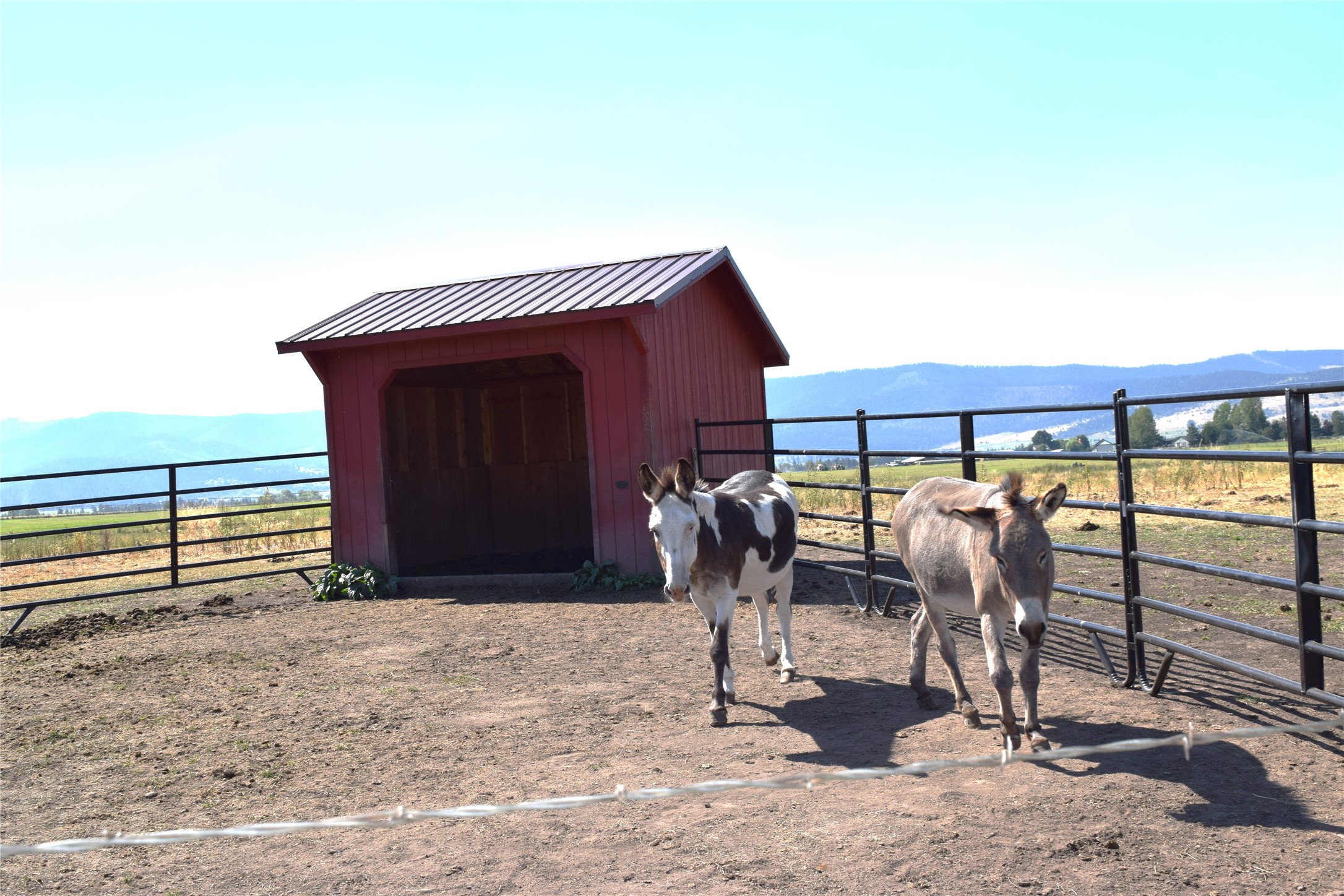 33513 Airport Road Property Photo 40