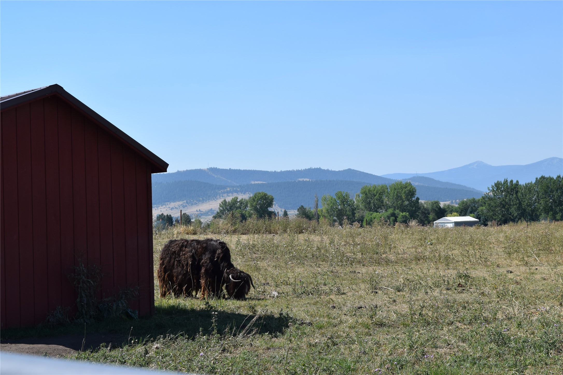 33513 Airport Road Property Photo 46