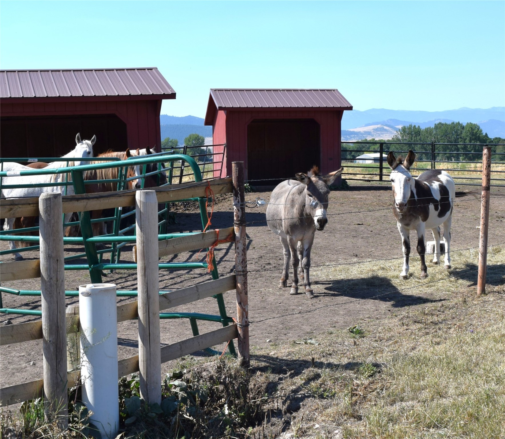 33513 Airport Road Property Photo 48