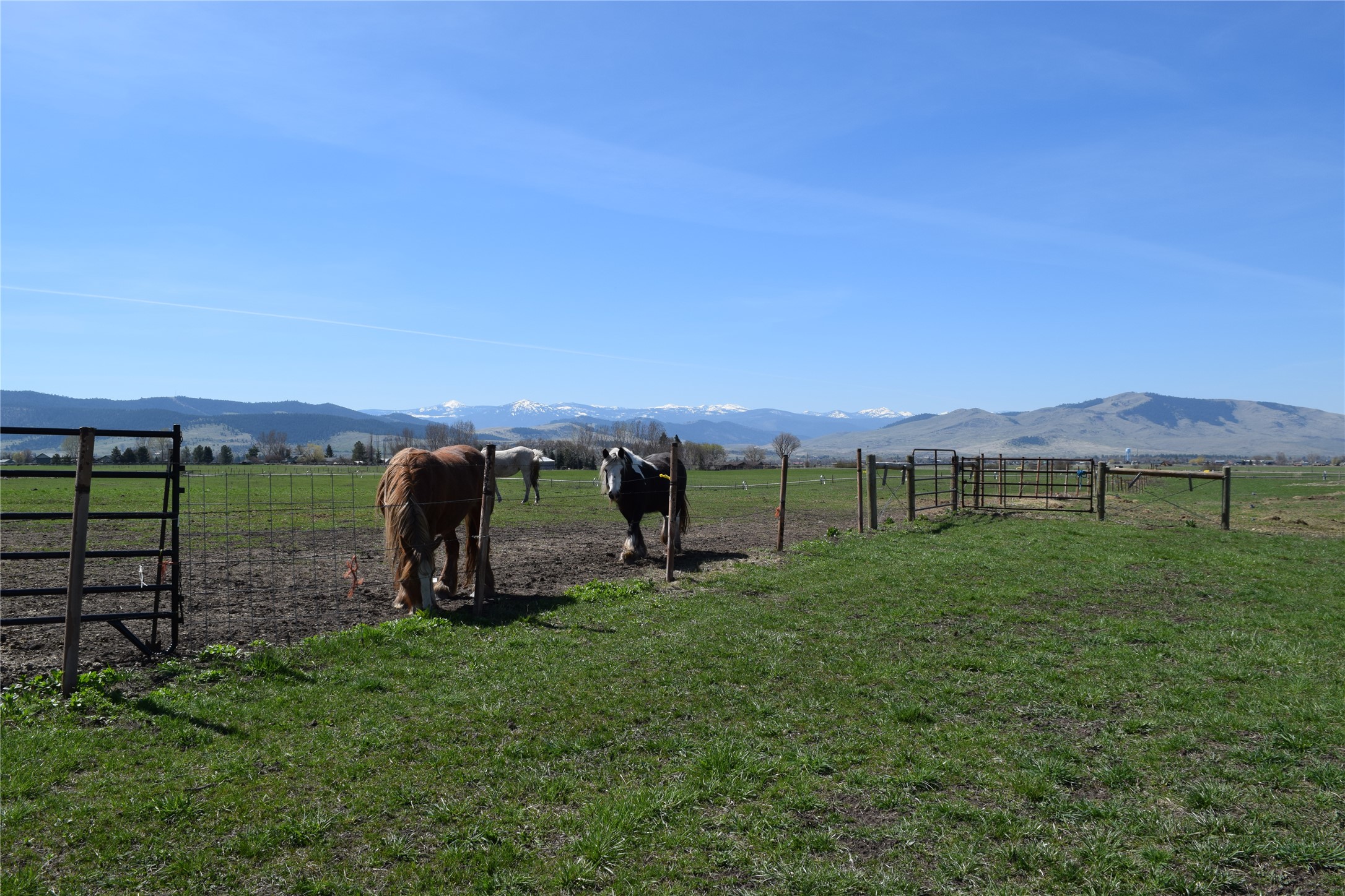 33513 Airport Road Property Photo 64