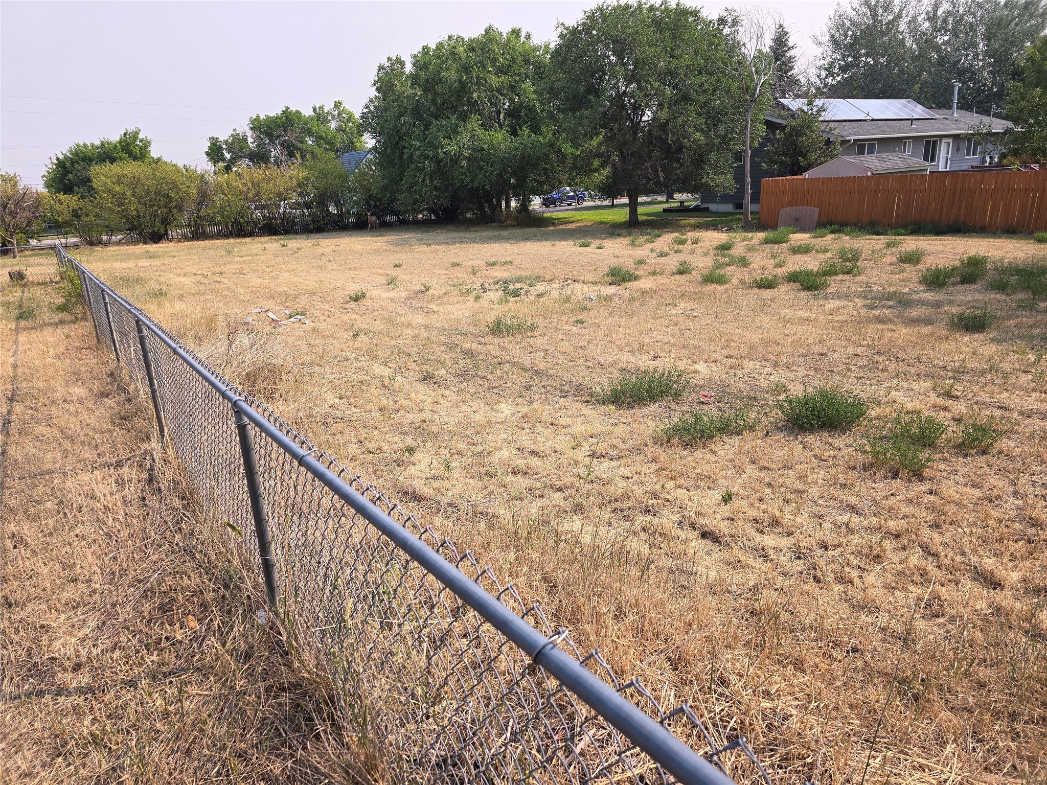 Tbd Poplar Street Property Photo 3